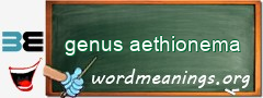 WordMeaning blackboard for genus aethionema